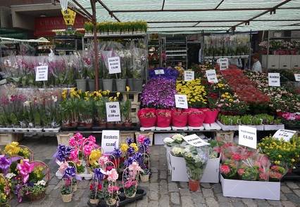 Plant stalls Romford Market
